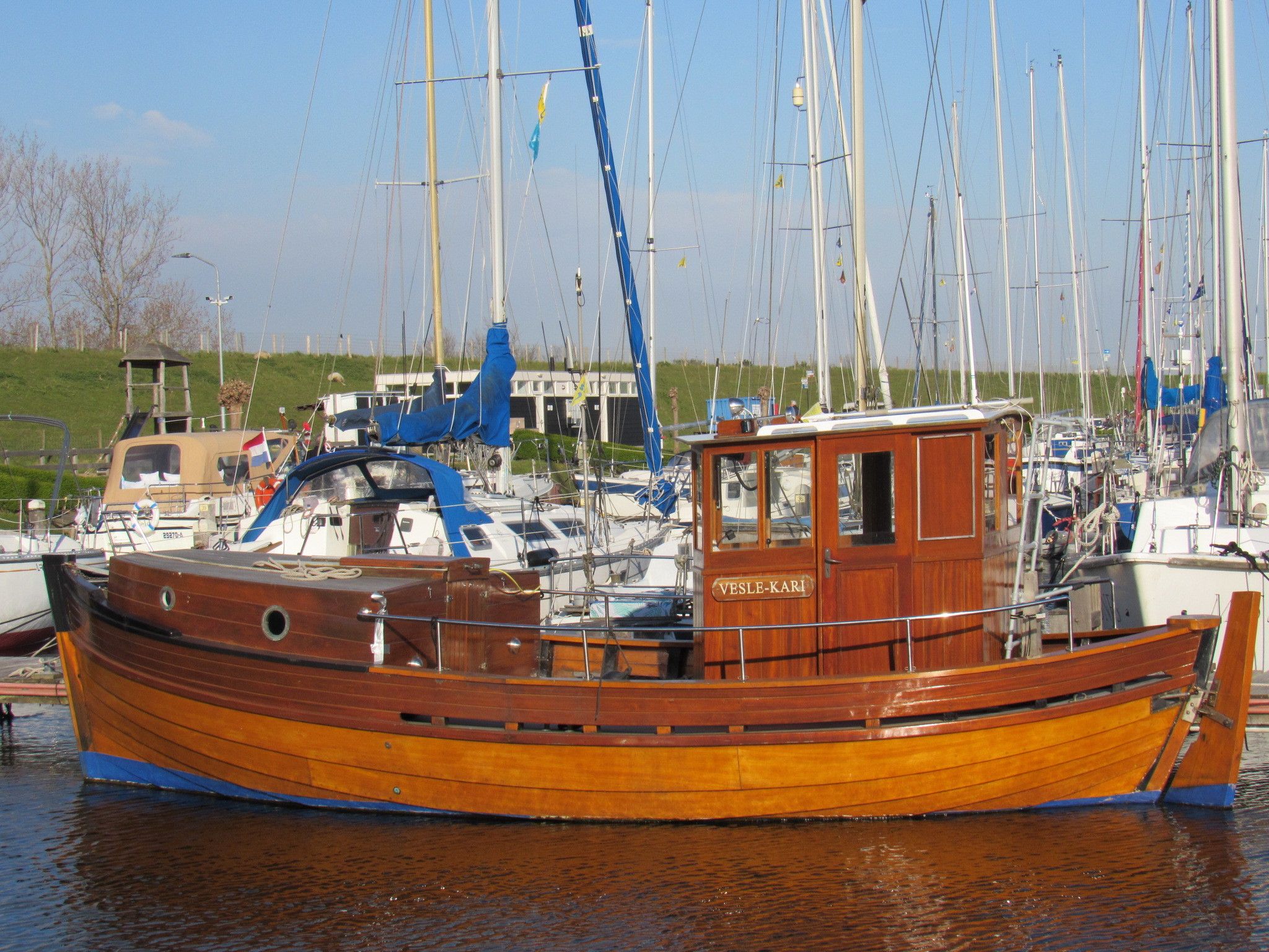 noorse kotter te koop